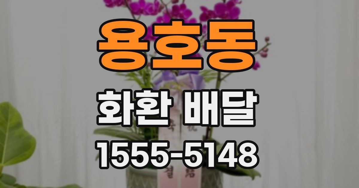 용호동 화환 배달