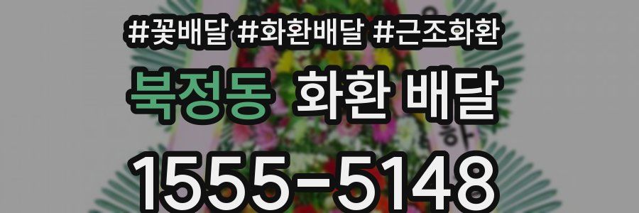 북정동 화환 배달