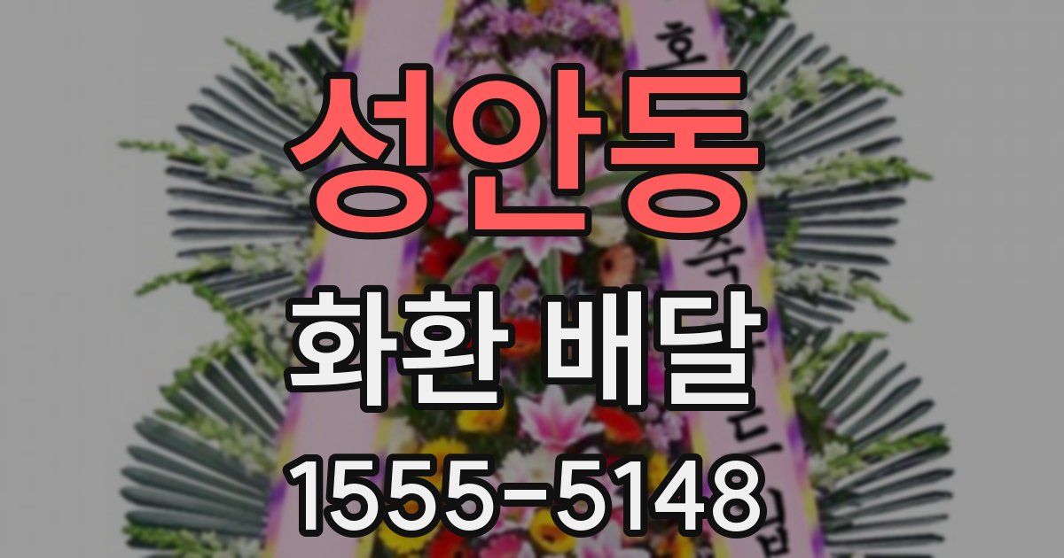 성안동 화환 배달