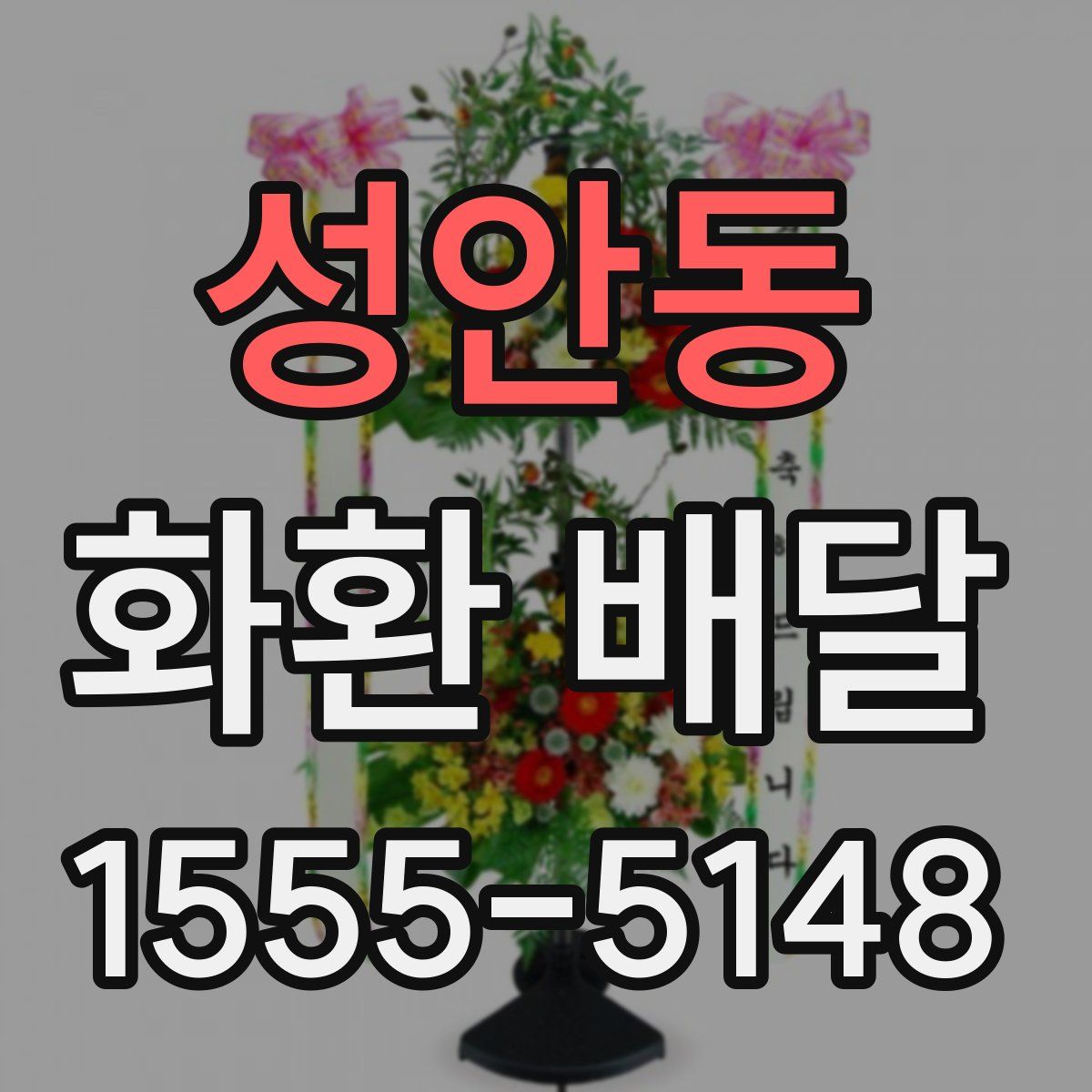 성안동 화환 배달