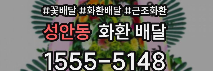성안동 화환 배달