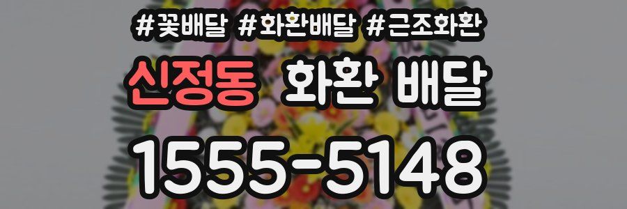신정동 화환 배달