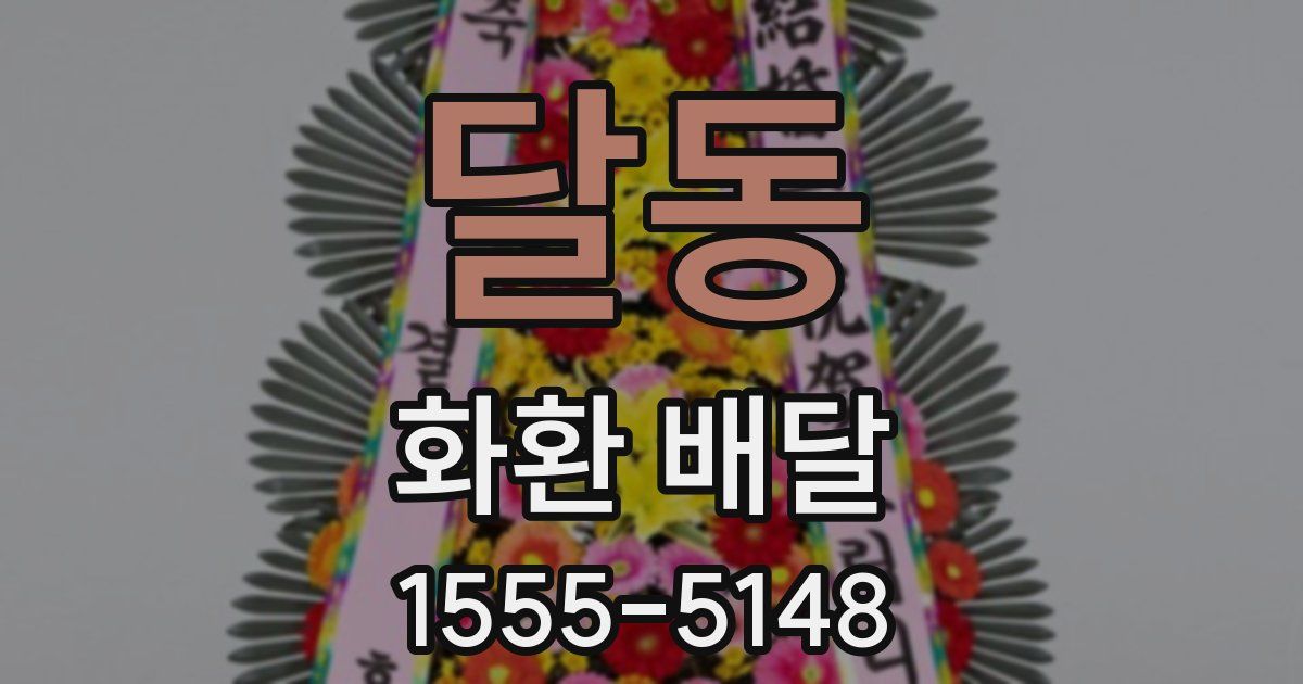달동 화환 배달