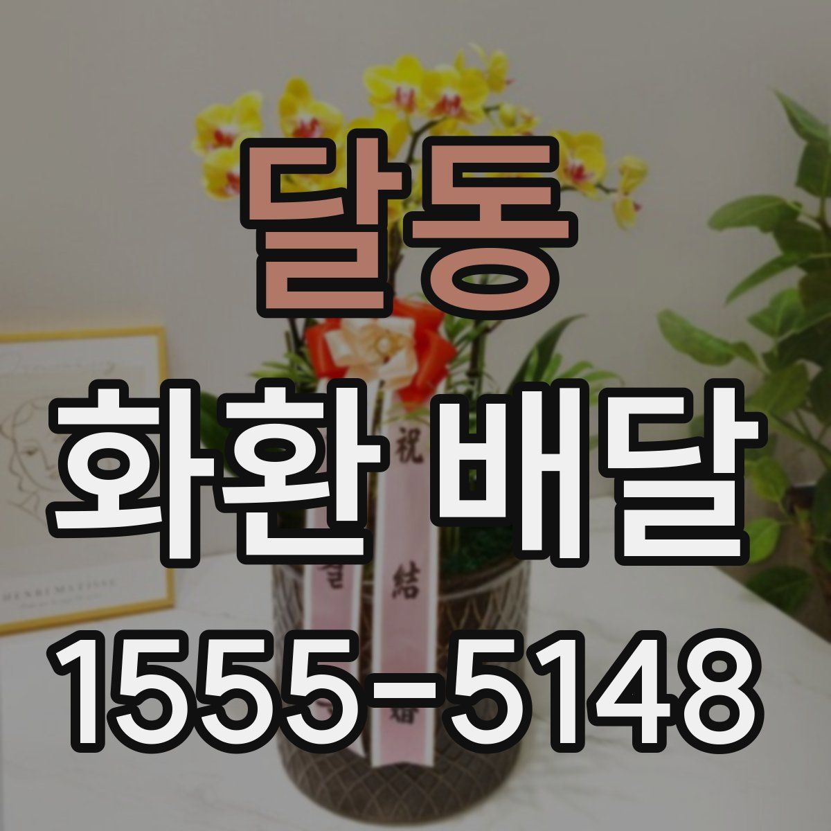 달동 화환 배달