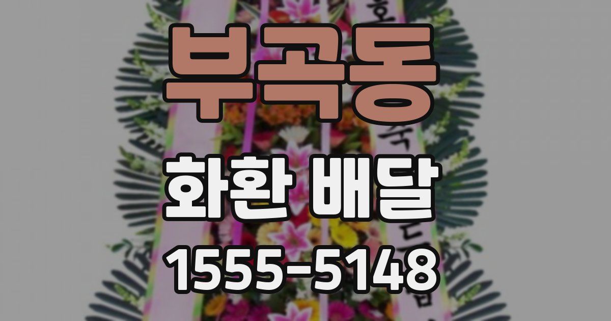 부곡동 화환 배달