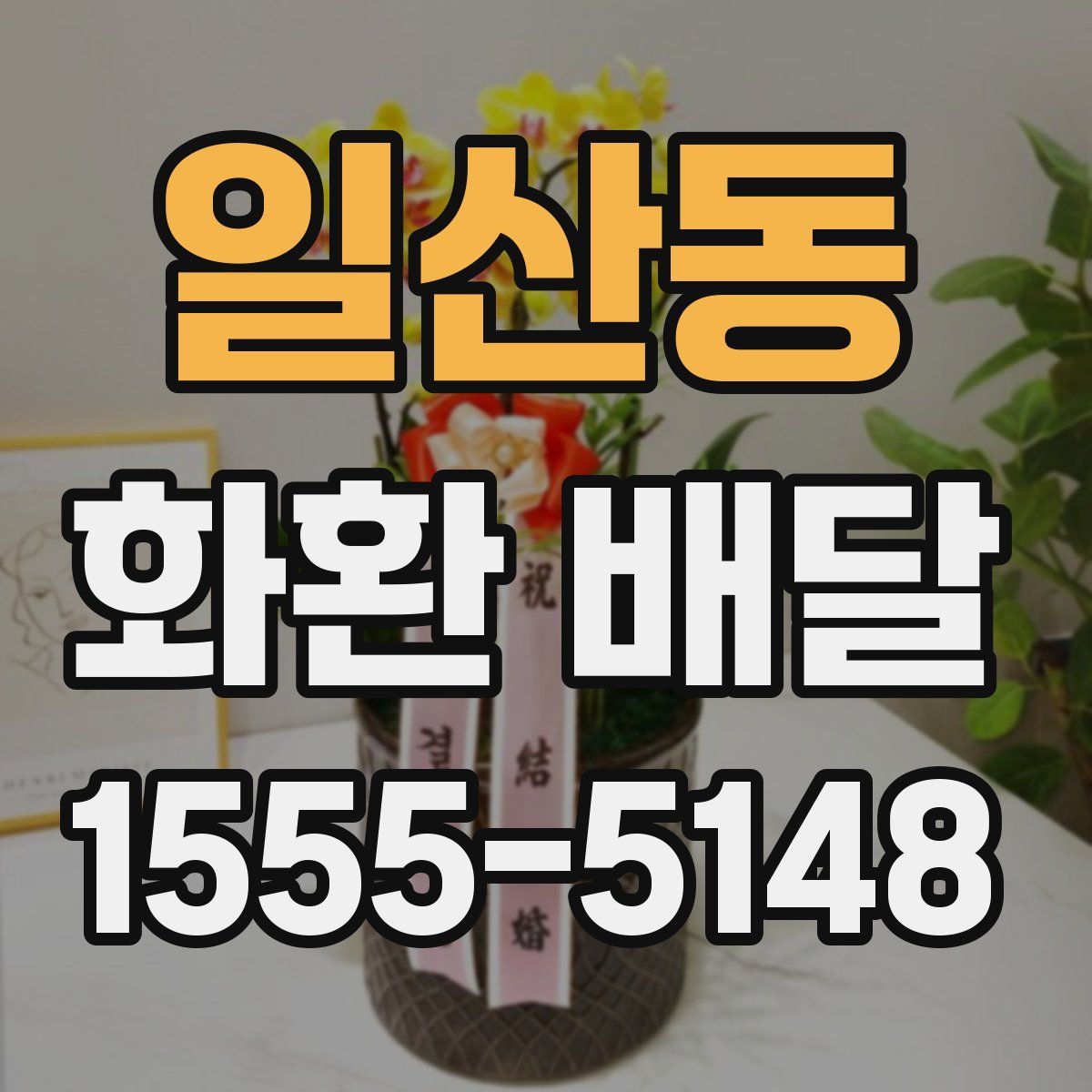일산동 화환 배달