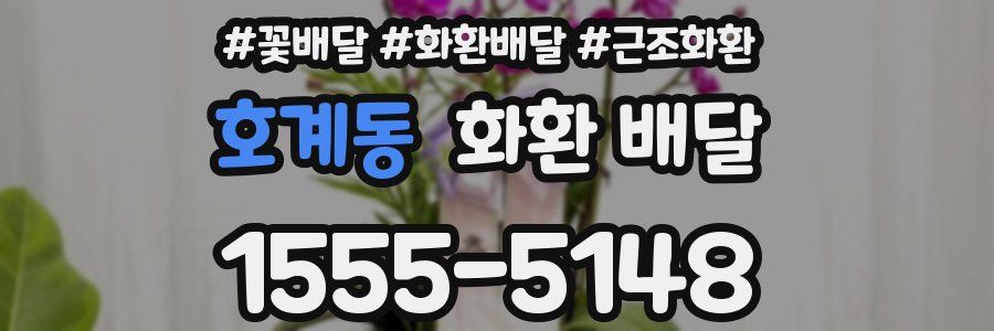 호계동 화환 배달