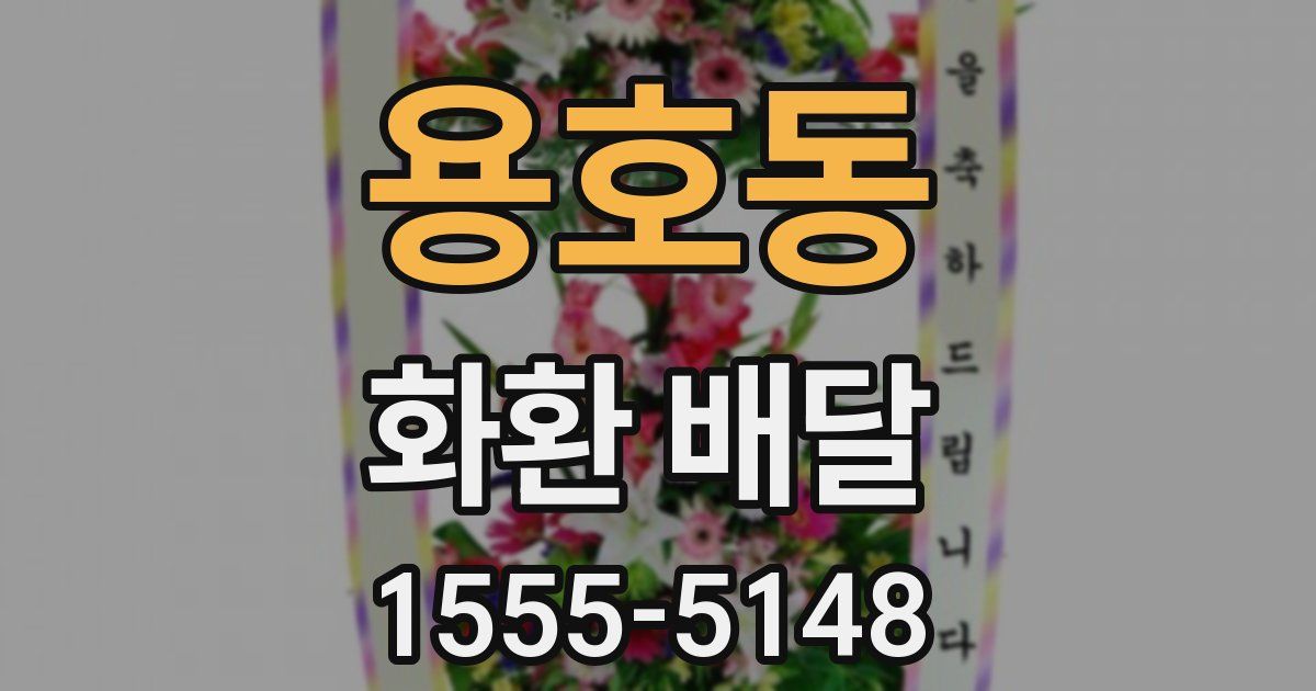 용호동 화환 배달