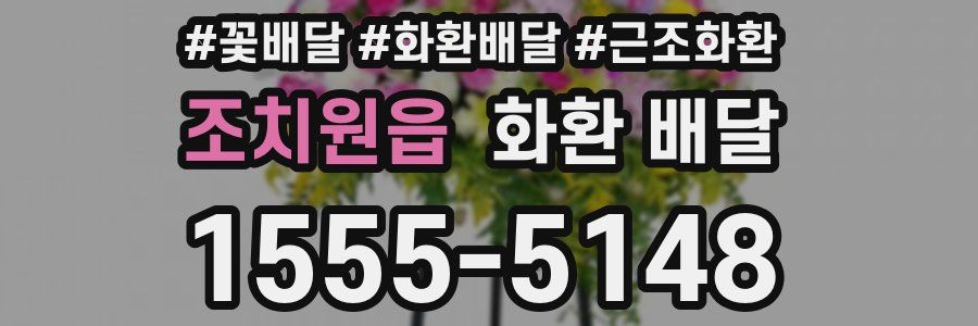 조치원읍 화환 배달