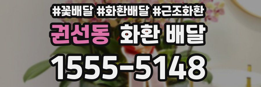 권선동 화환 배달