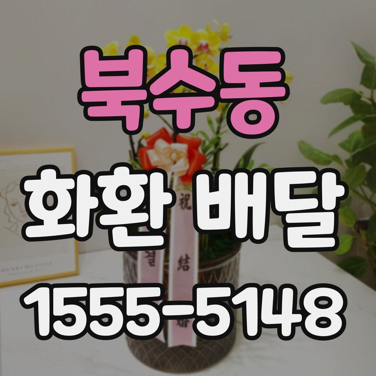 북수동 화환 배달