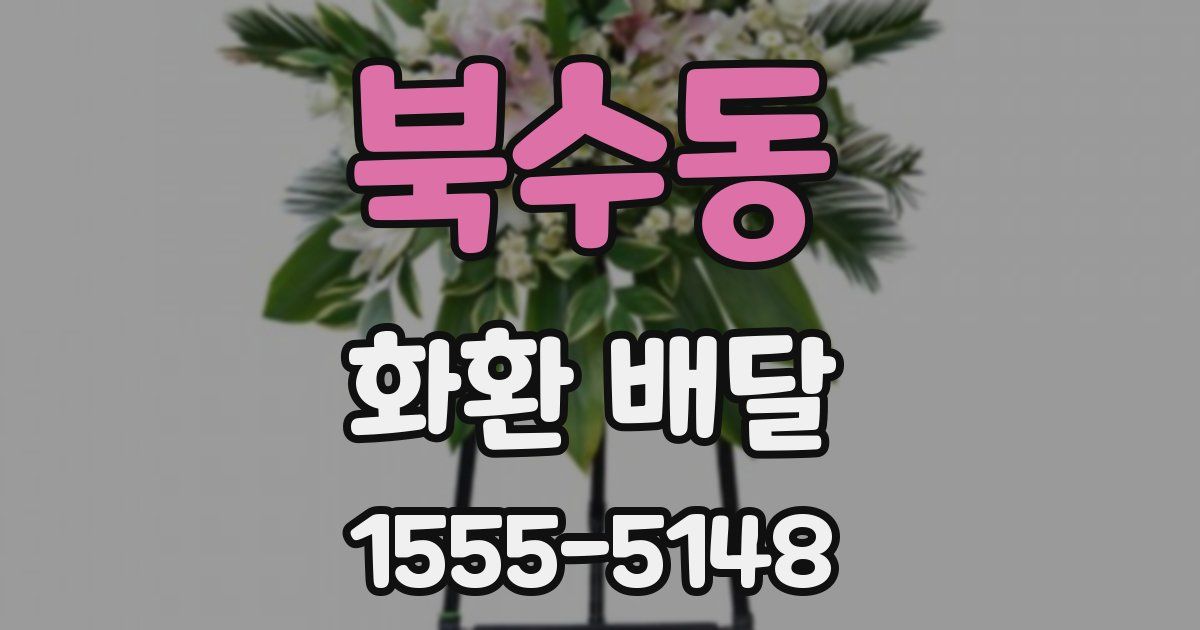 북수동 화환 배달
