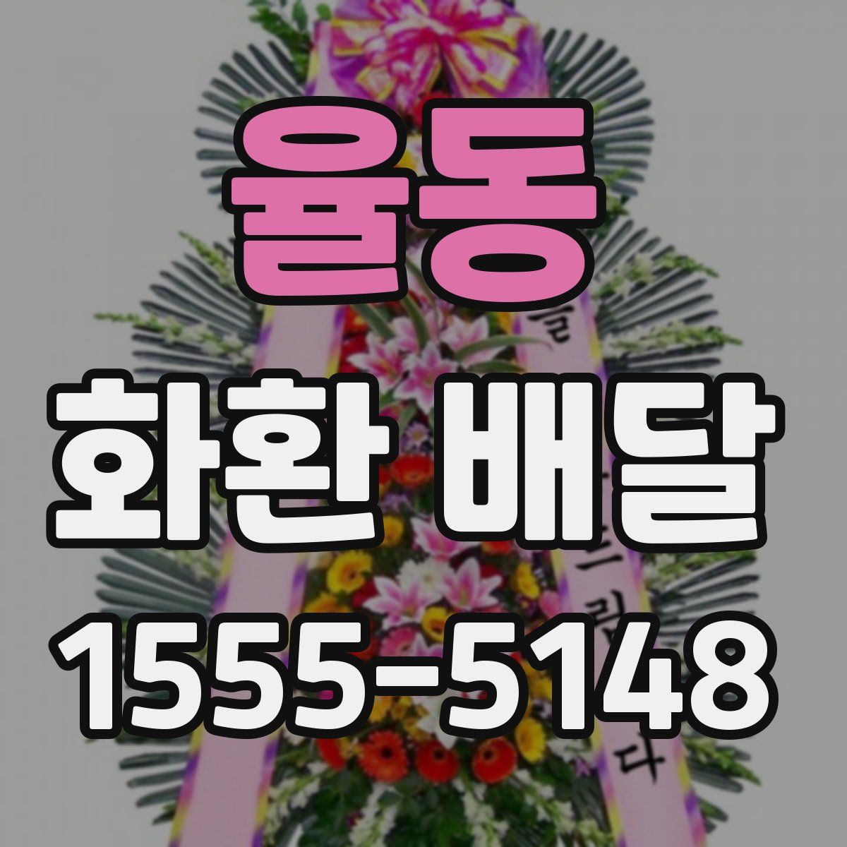 율동 화환 배달
