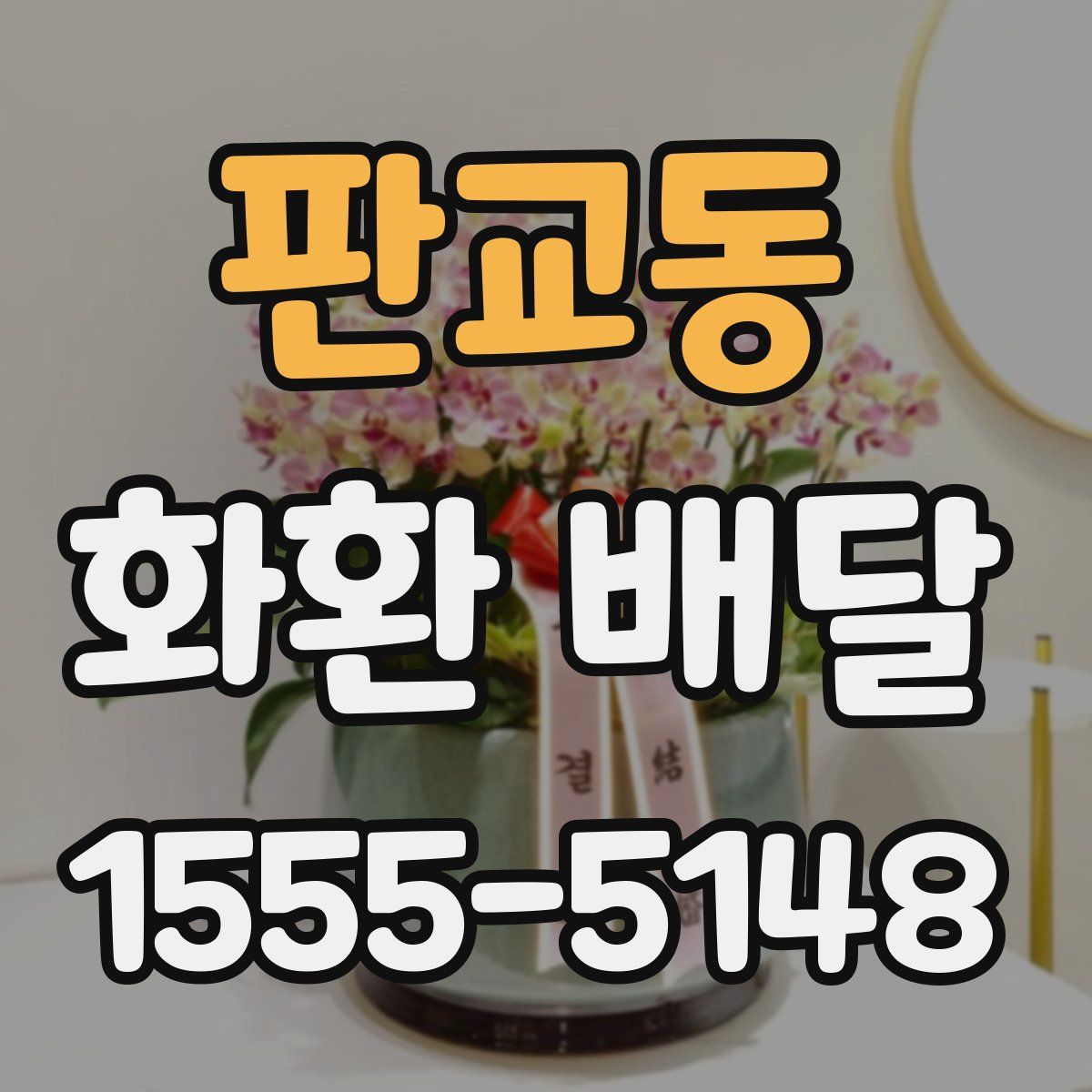 판교동 화환 배달