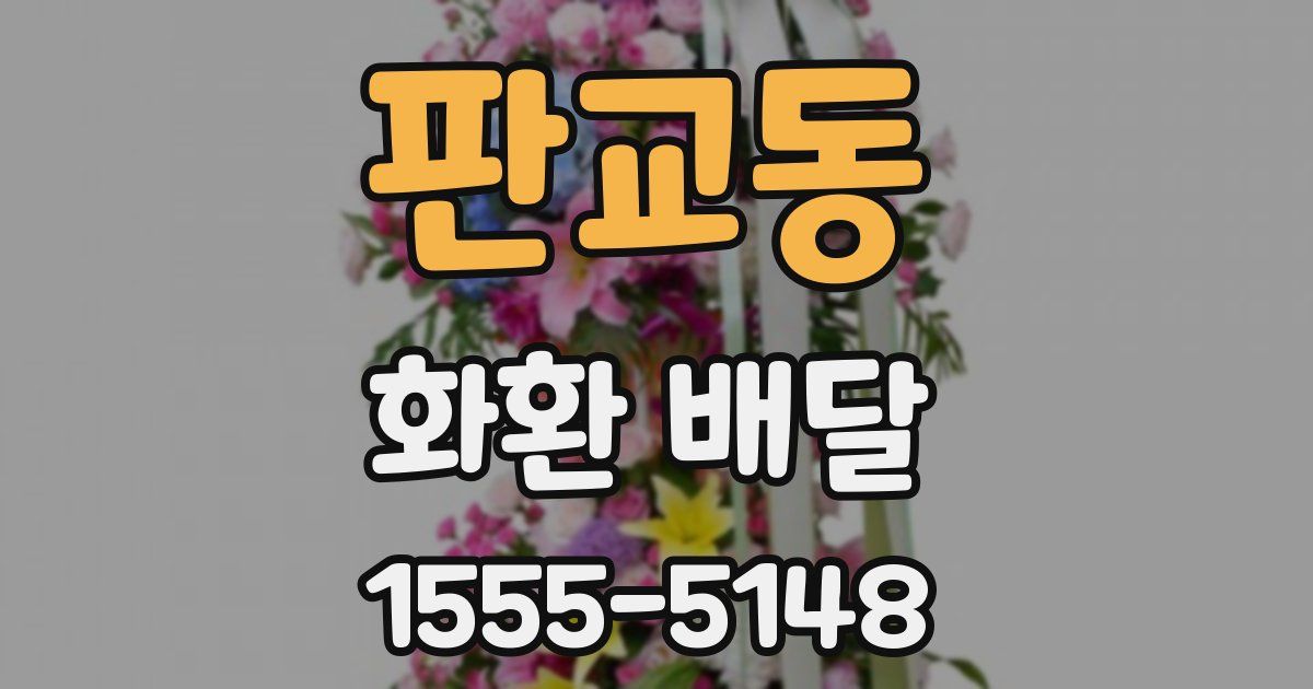 판교동 화환 배달
