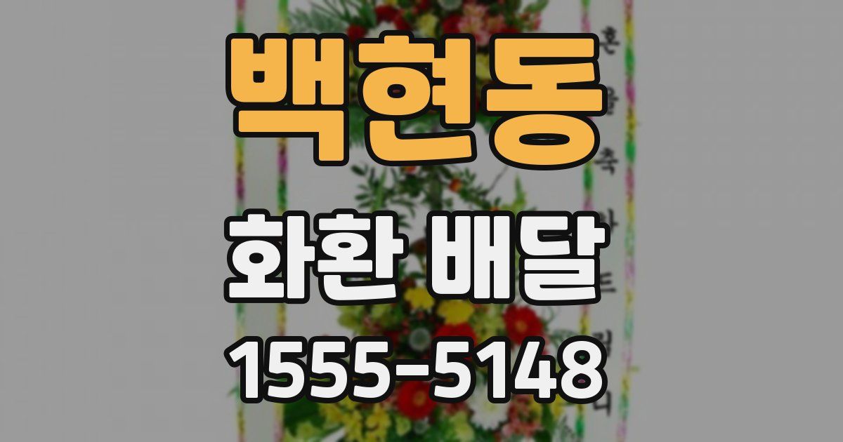백현동 화환 배달