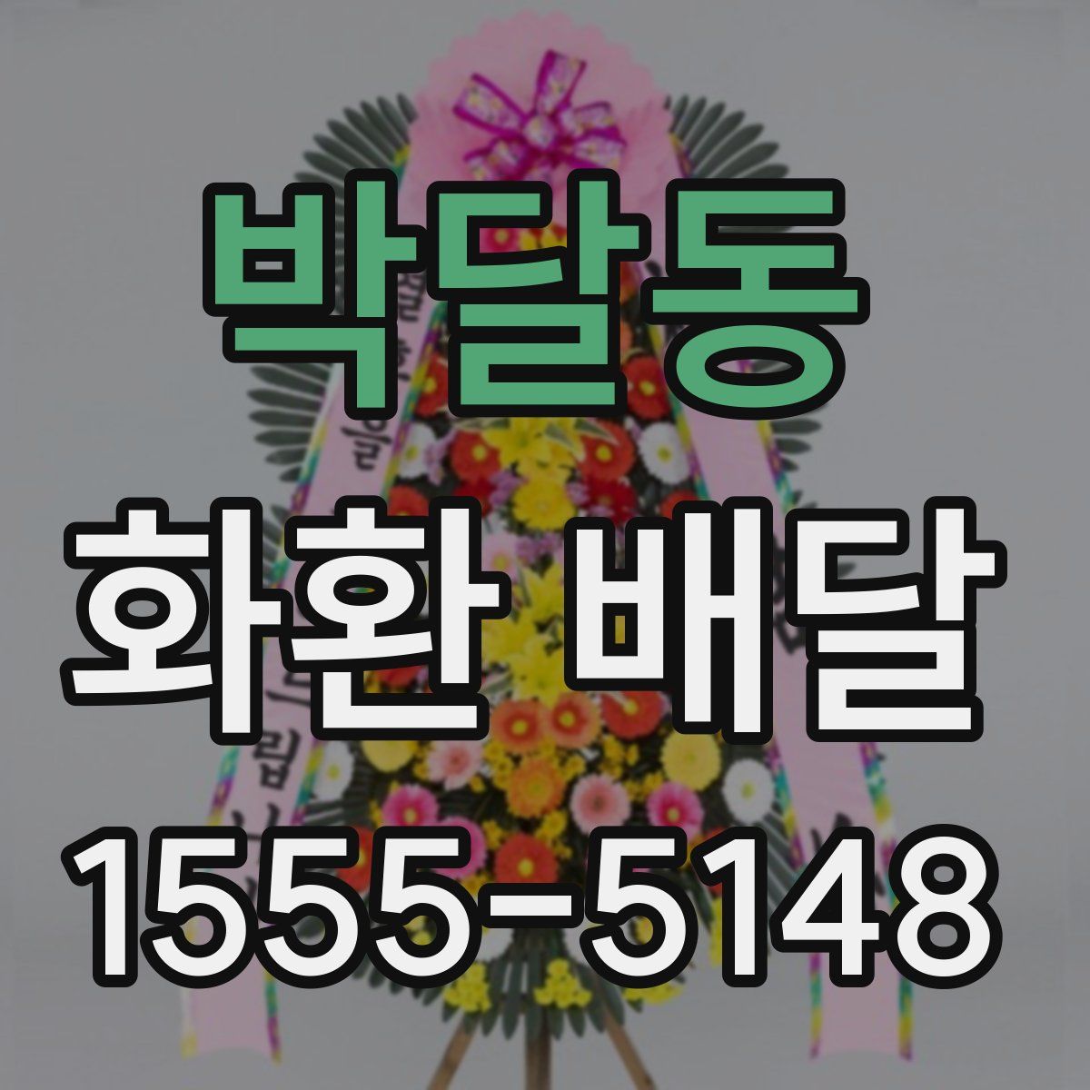 박달동 화환 배달