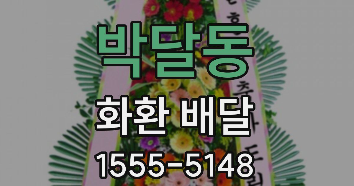 박달동 화환 배달