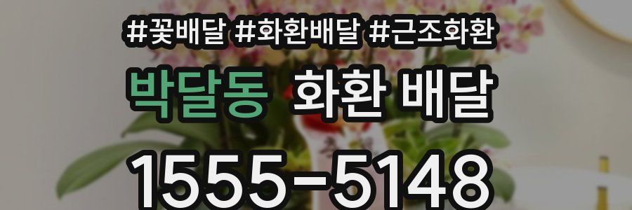 박달동 화환 배달