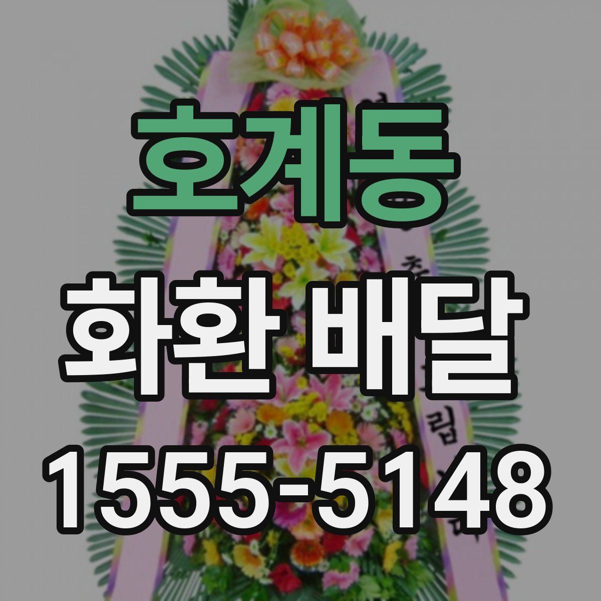 호계동 화환 배달