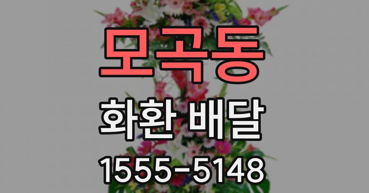 모곡동 화환 배달