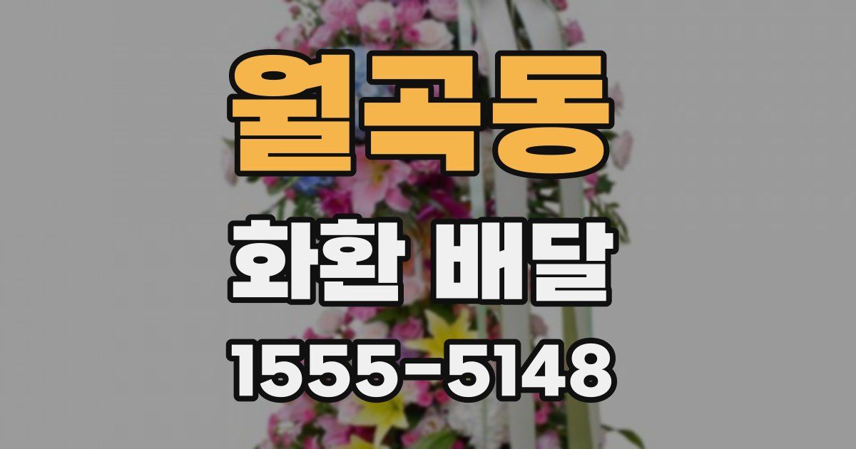월곡동 화환 배달