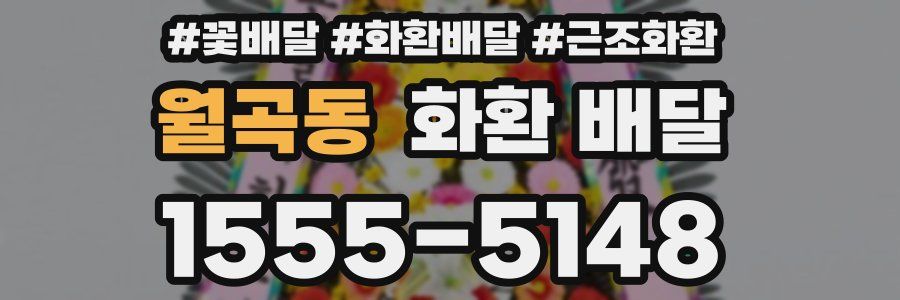 월곡동 화환 배달