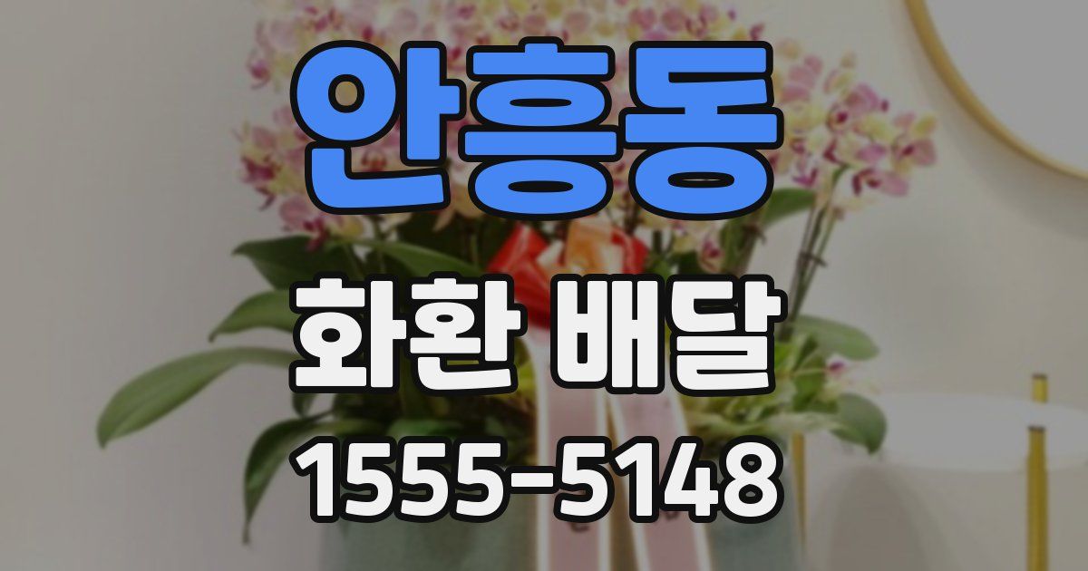 안흥동 화환 배달
