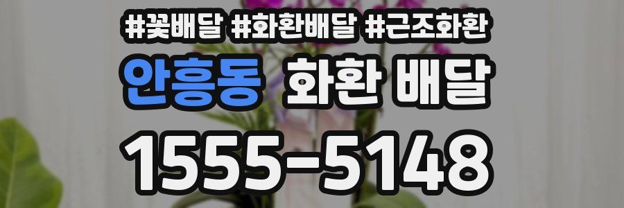 안흥동 화환 배달