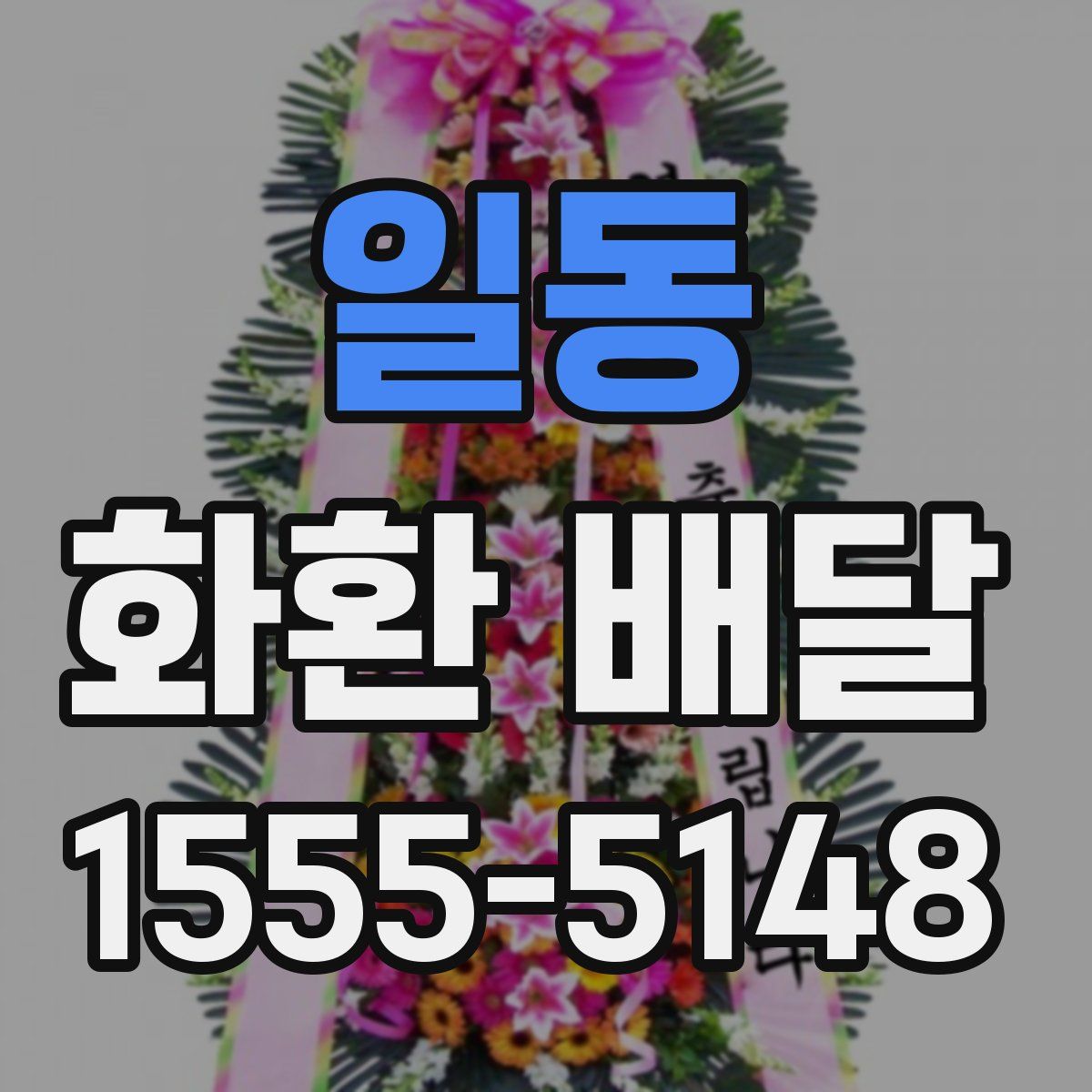 일동 화환 배달