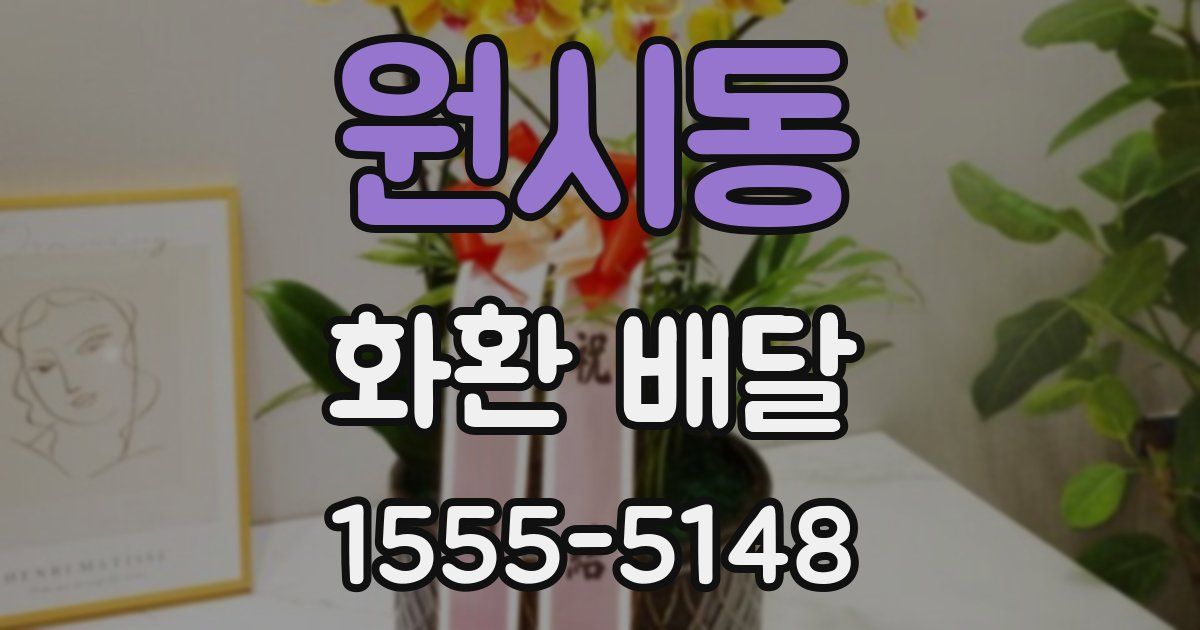 원시동 화환 배달