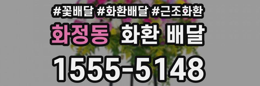 화정동 화환 배달