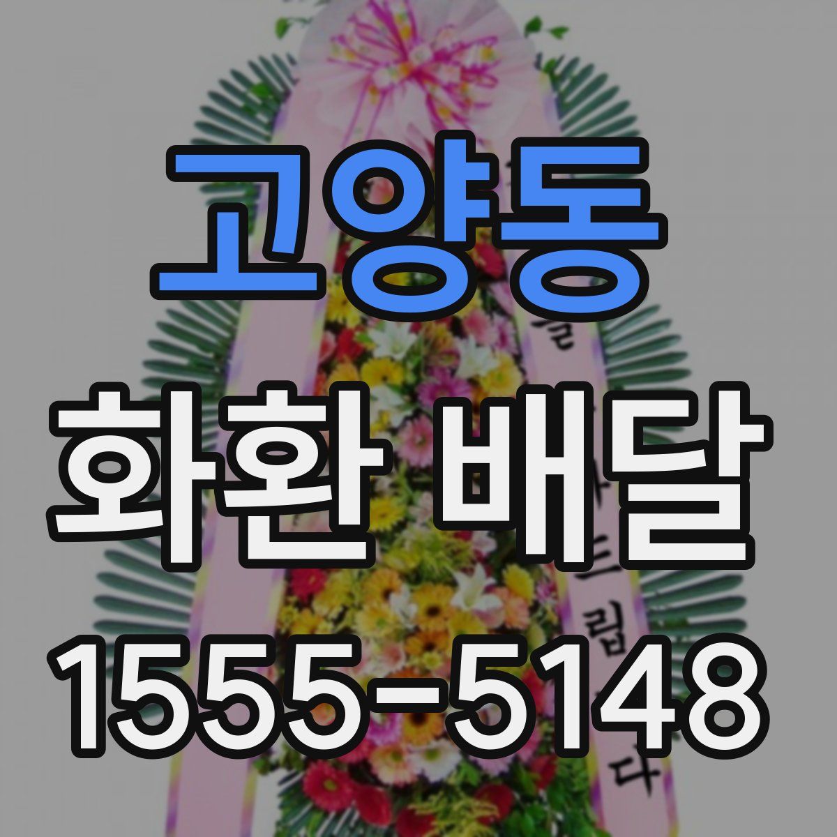 고양동 화환 배달