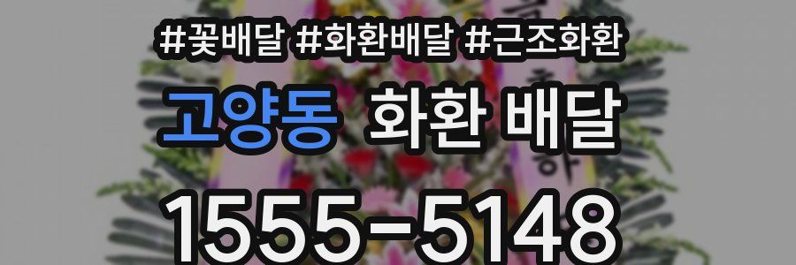 고양동 화환 배달