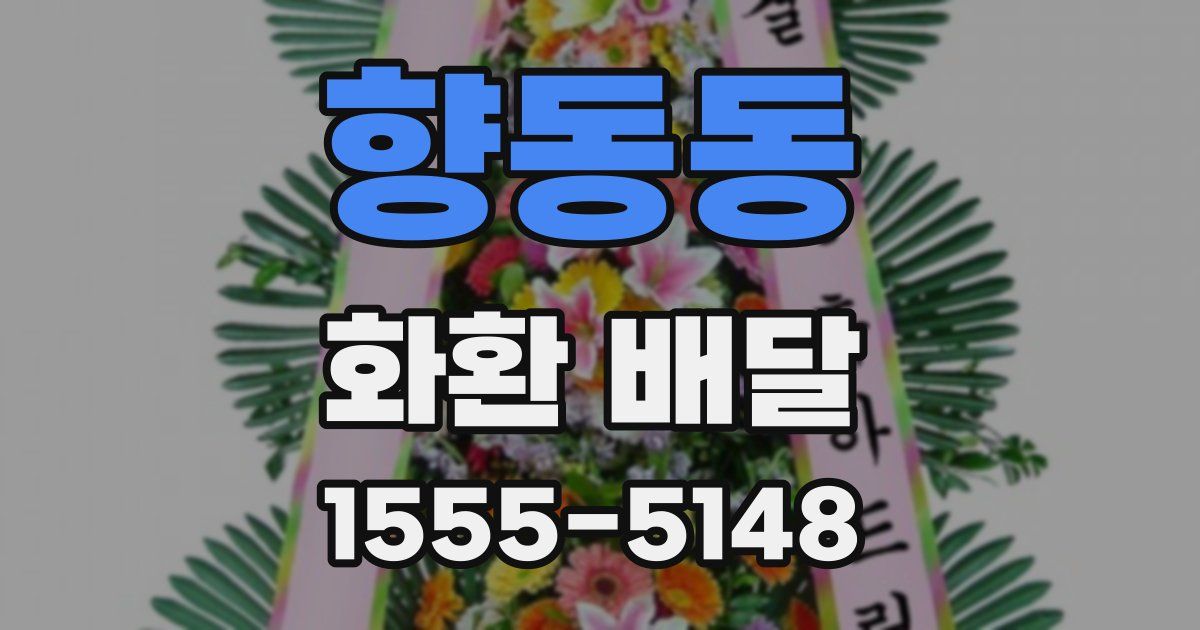 향동동 화환 배달