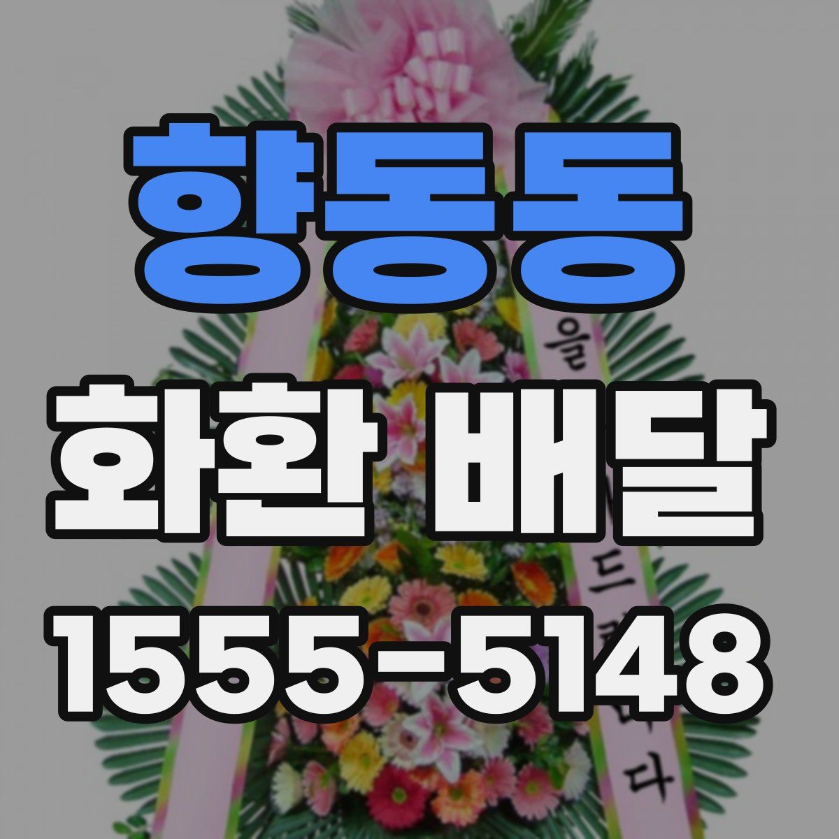 향동동 화환 배달
