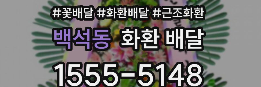 백석동 화환 배달