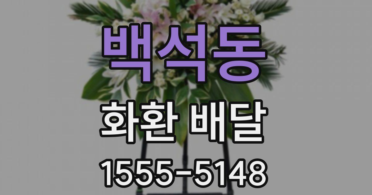 백석동 화환 배달