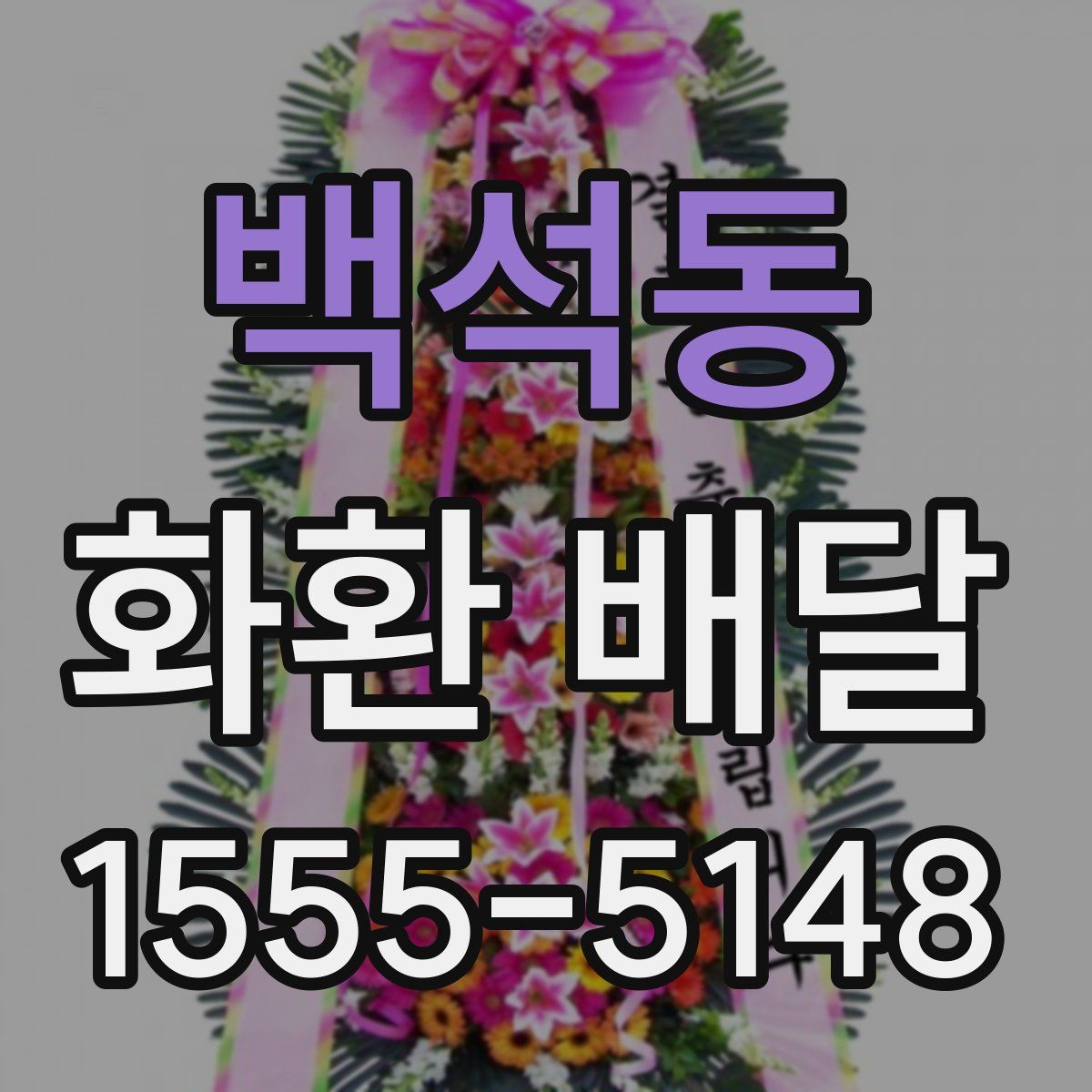 백석동 화환 배달