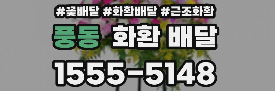 풍동 화환 배달