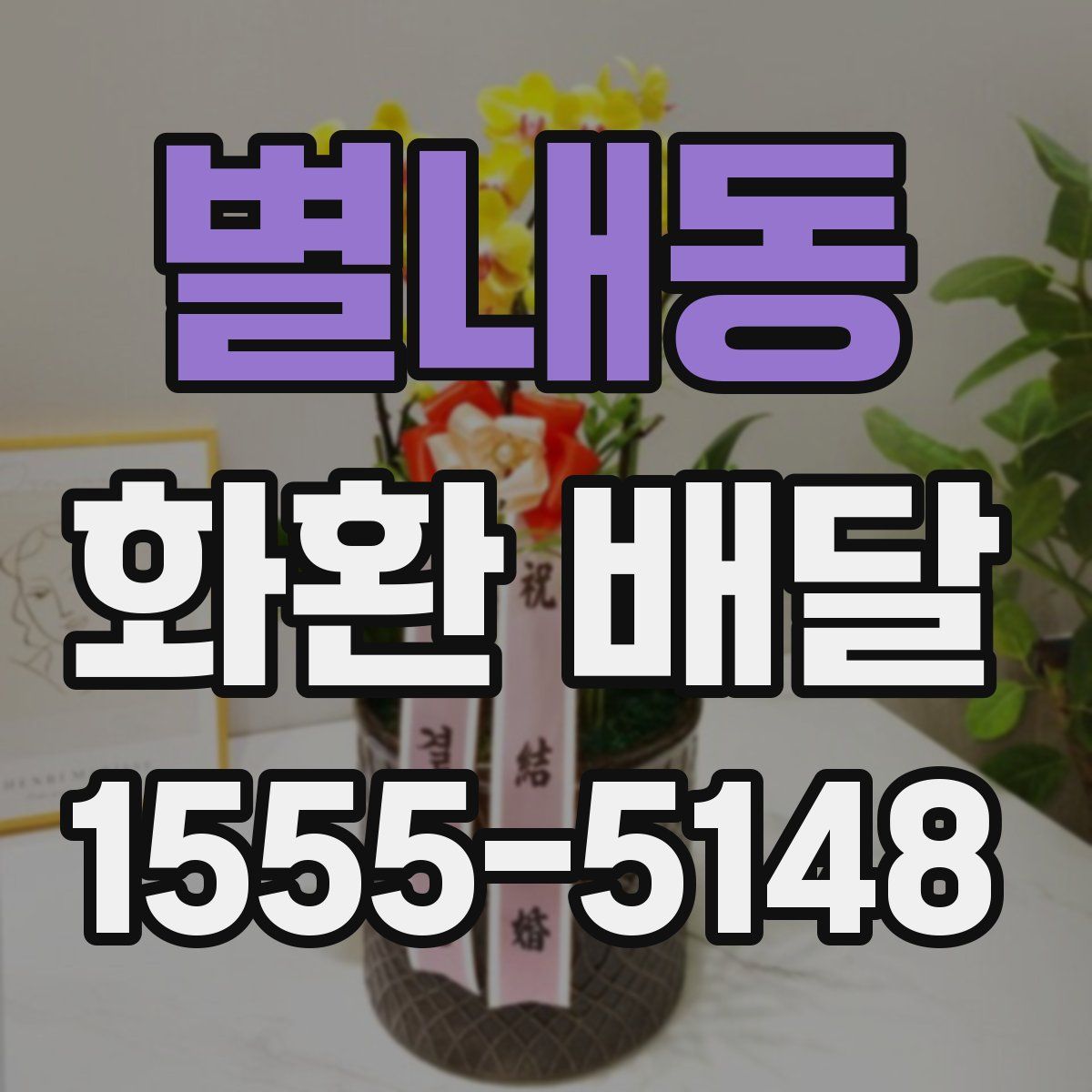 별내동 화환 배달