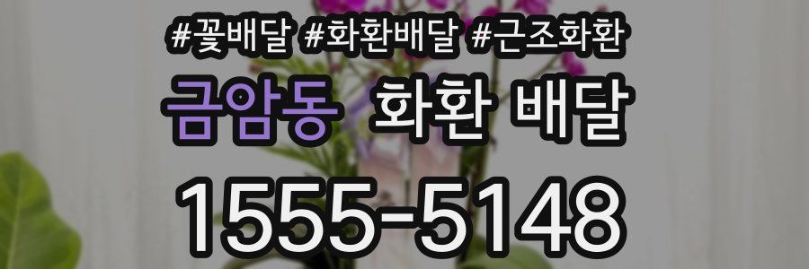 금암동 화환 배달