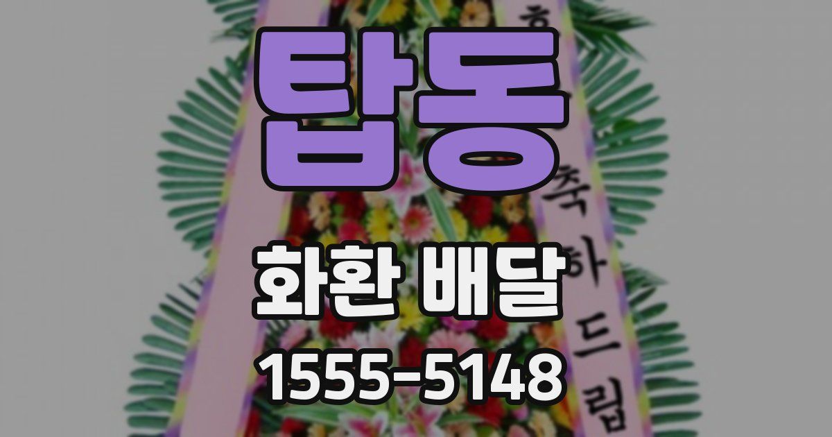 탑동 화환 배달
