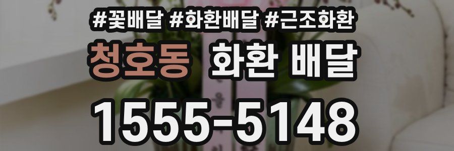 청호동 화환 배달