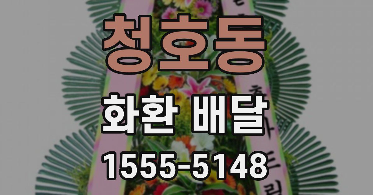 청호동 화환 배달