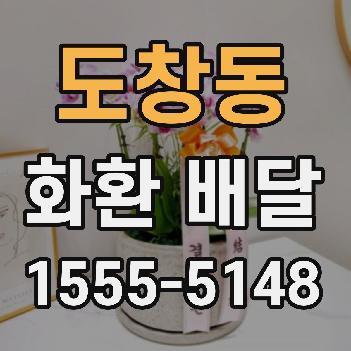도창동 화환 배달