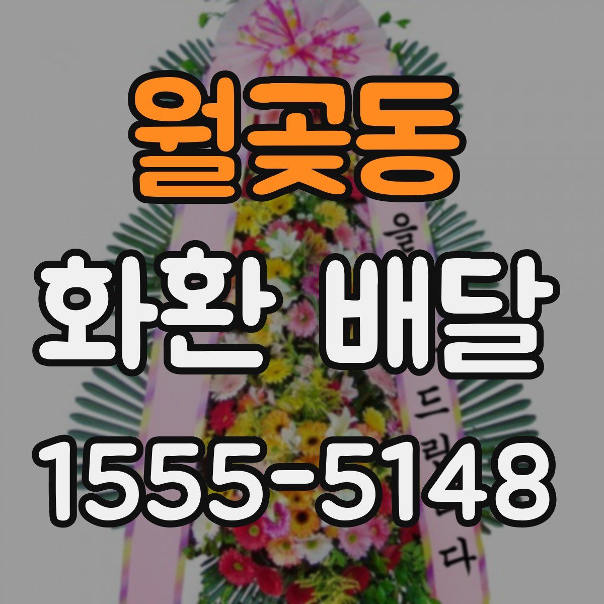 월곶동 화환 배달