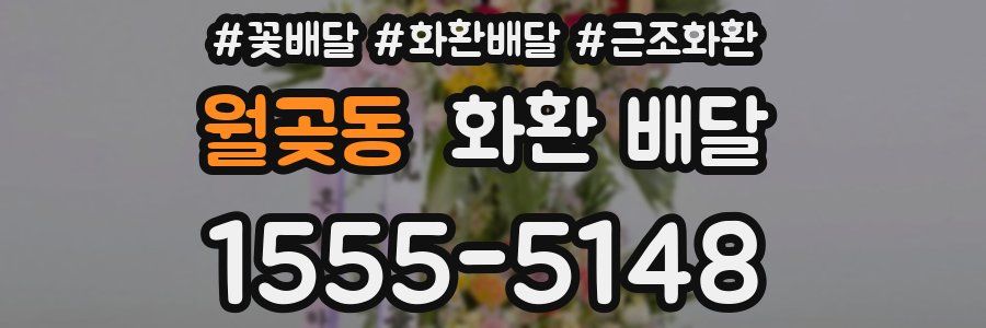 월곶동 화환 배달