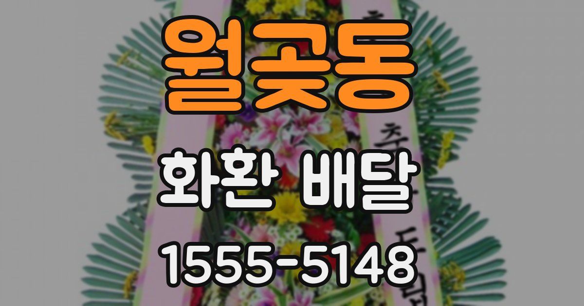 월곶동 화환 배달