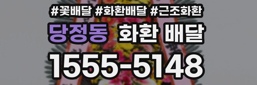 당정동 화환 배달